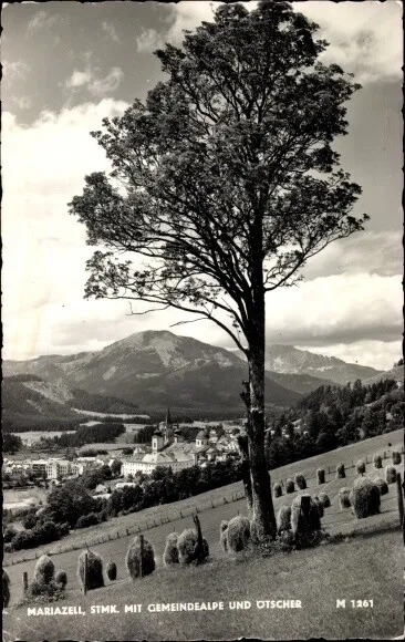 Ak Mariazell Steiermark, Panorama, Gemeindealpe, Ötscher - 3862473