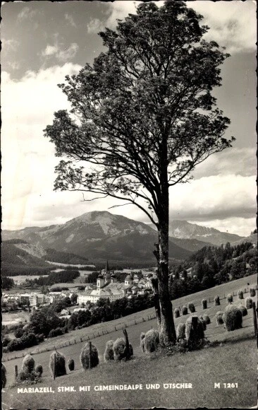Ak Mariazell Steiermark, Panorama, Gemeindealpe, Ötscher - 3862473
