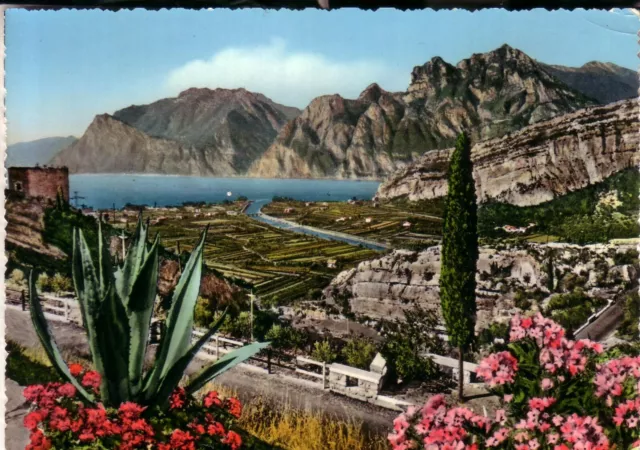 Cartolina  Torbole Lago Di Garda  Viaggiata   1966   Panorama  Regalo