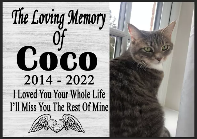 Pet Memorial Personalised Plaque Cat Dog Grave Metal Sign bereavement memory Tin