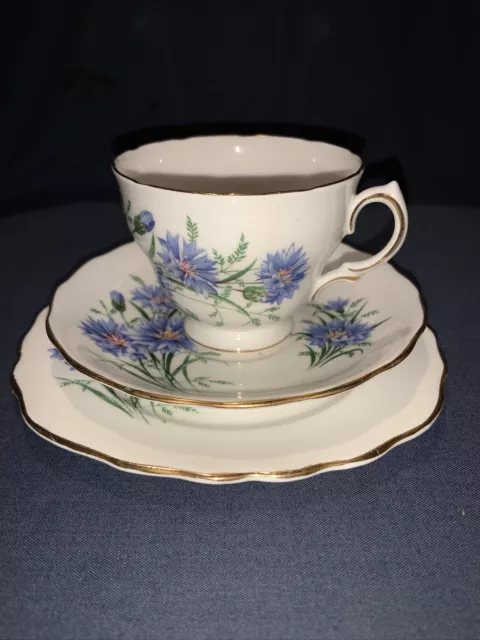 Vintage Royal Vale Bone China Tea Trio. Cornflowers.