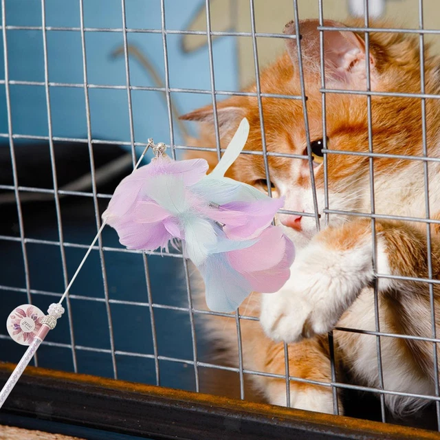 Jouet interactif pour chat, jouets en plumes pour animaux de compagnie, longue 2