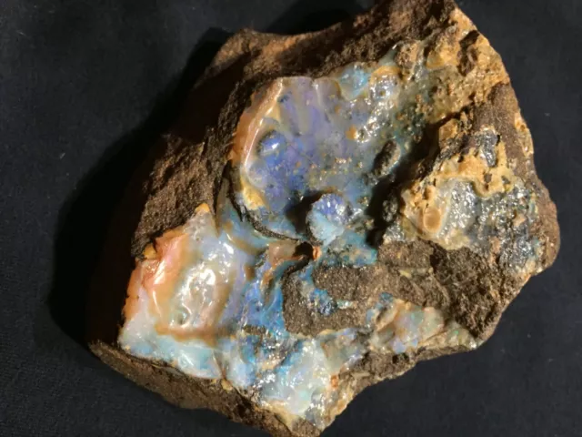 Natural Queensland Boulder Opal Rough