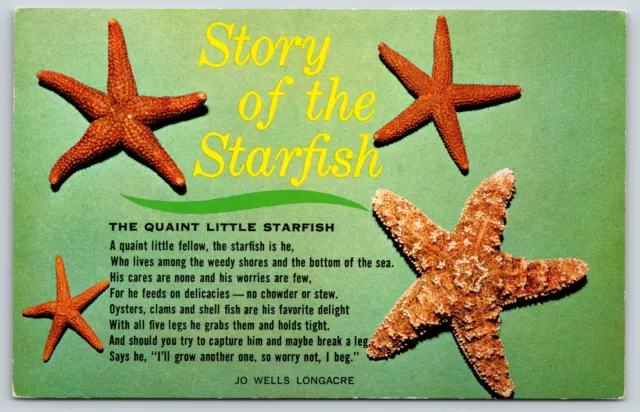 Animal~Story Of The Quaint Little Starfish~Jo Longacre~Mirro-Krome~Vintage PC