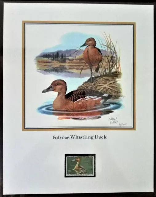 1986 Fulvous Whistling Duck Stamp Collector's Art Panel Signed by Don Balke #99