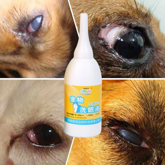 Pet Dog Cat Eye Drops Anti-Inflammatory Tear Stain H4C6 Improve P6K6