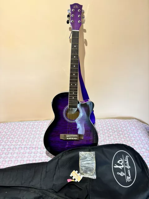 Acoustic Guitar  TS Music Fidelity