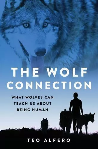 The Wolf Connection: What Wolves Can Teach Us about Being Human by Alfero, Teo