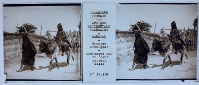 SENEGAL AFRIQUE 1890 PLAQUE STEREO VERASCOPE RICHARD 45x107 VUE STEREOSCOPIQUE