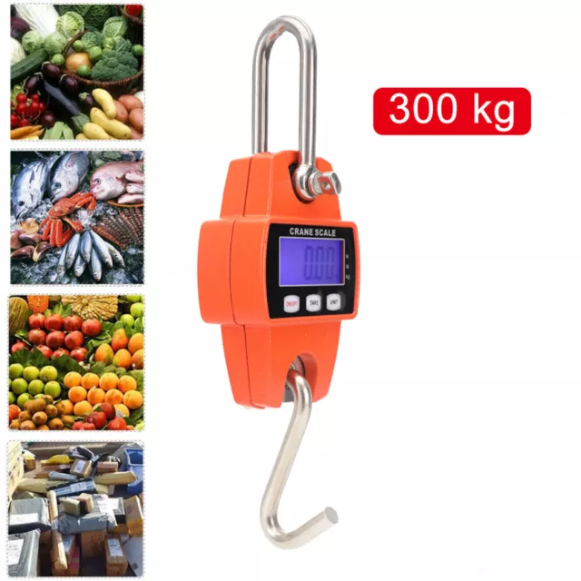 Mini Crane Scale Portable LCD Digital Electronic Hook Hanging Weight 300kg/600lb