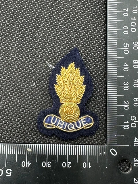A PLASTIC ROYAL ENGINEERS CAP BADGE In Corps & Services Badges - Foto 10