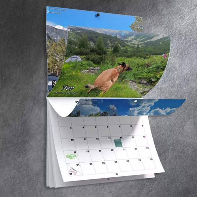 DOGS POOPING IN Beautiful Places 2024 Wall Calendar,Monthly Calendar