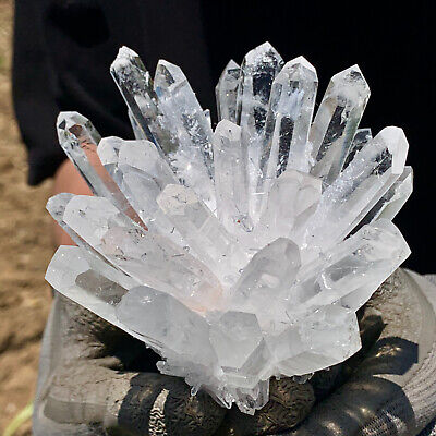 428g New Find white PhantomQuartz Crystal Cluster Mineral Specimen