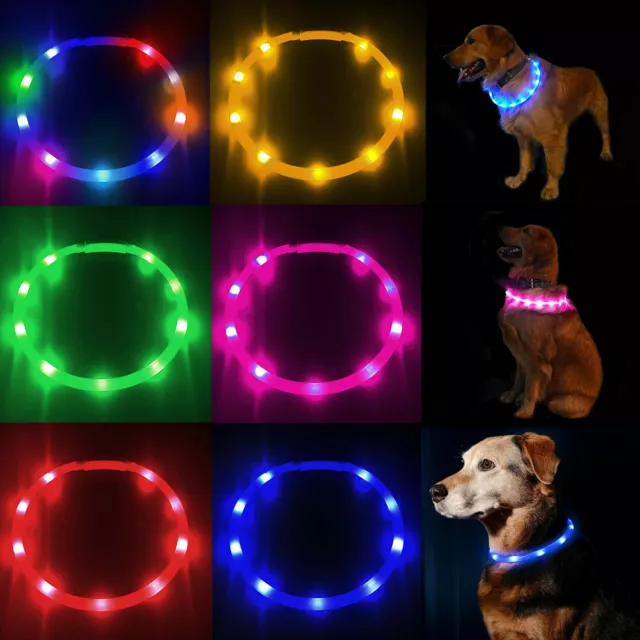 LED Light Up Dog Collar USB Rechargeable Pet Safety Luminous Belt Adjustable ONE 2