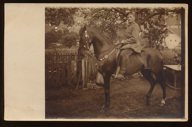 Foto AK - Soldat zu Pferd Abzeichen ? Edelweiss ? - 1.WK