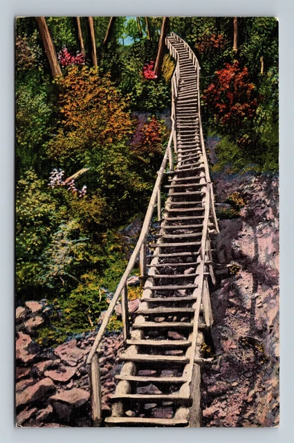 Miners Falls,MI Northern Michigan Ladder 1942 Vintage Postcard