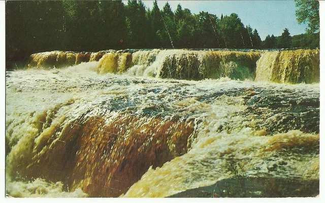 LOWER TAHQUAMENON FALLS in Michigan's Upper Peninsula UNP Vintage MI Postcard
