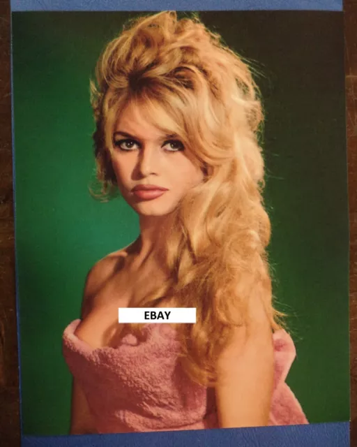 Photo BRIGITTE BARDOT par Sam LEVIN (20 x 25,5 cm) Retirage