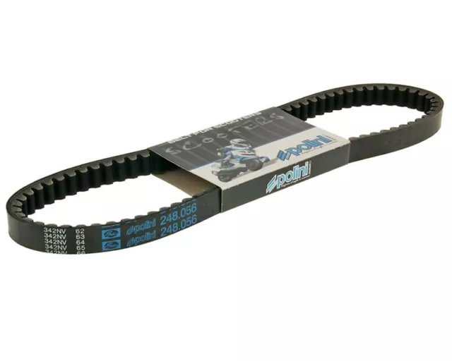 Drive Belt Polini Speed Belt DNA 50