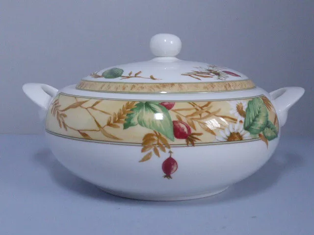 Royal Doulton Edenfield Expressions Covered Vegetable Serving Dish Tureen 3