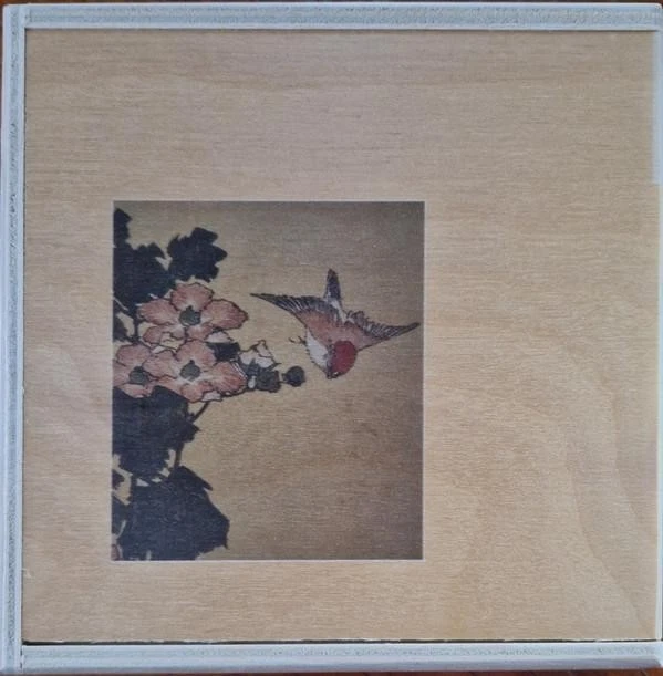 MERZBOW - NINE Studies Of Ephemeral Resonance Volume 5