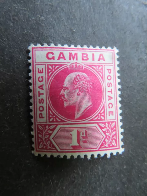 1902-5 Gambia 1d Carmine SG46 Mounted Mint