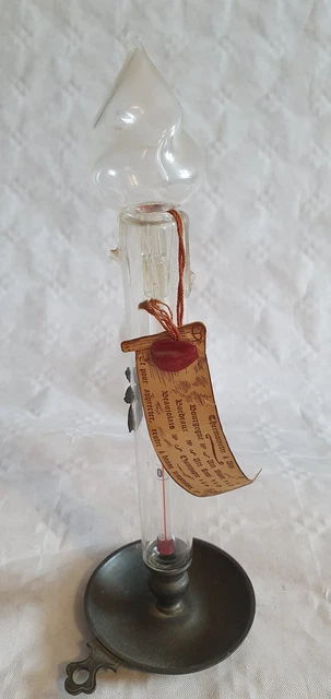 Thermomètre Extérieur En Zinc Ancien Fallen Fruits - 50cm Pour Intérieur Et Extérieur