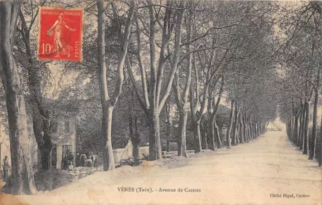 Cpa 81 Veins Avenue De Castres