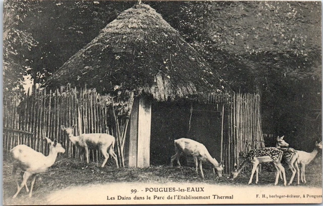58 POUGUES LES EAUX  -carte postale ancienne [JR03960]