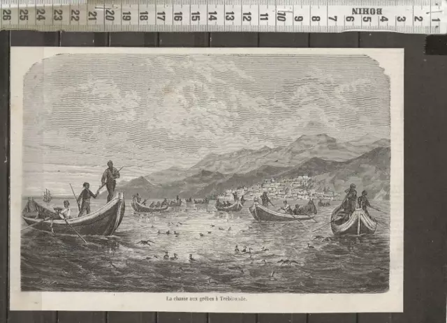 G537 / Engraving / The Hunt For The Grebes Of Trebizoade