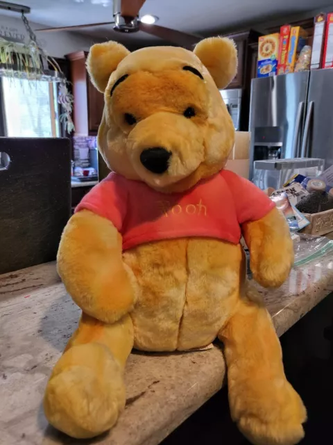 Disney Winnie the Pooh Plush Stuffed Animal