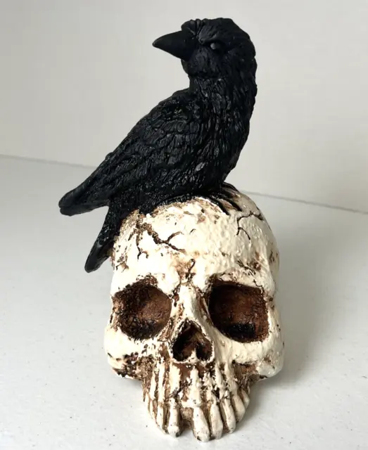 Raven Perching On Skull Statue 7.25" Crow Scavenger Figurine Gothic paper weight