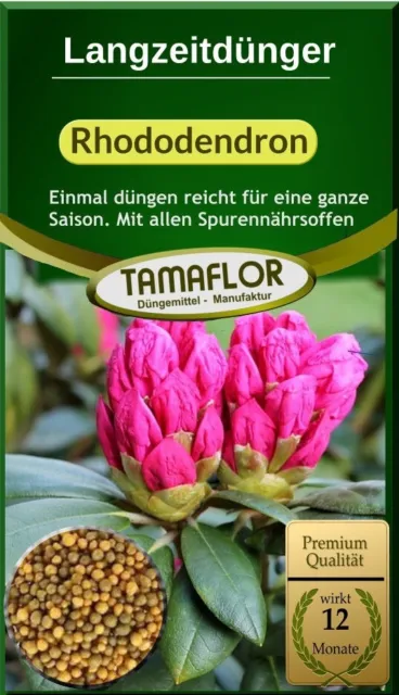 Rhododendron  Dünger 1x düngen für 12 Monate Gartendünger  Dauerdünger