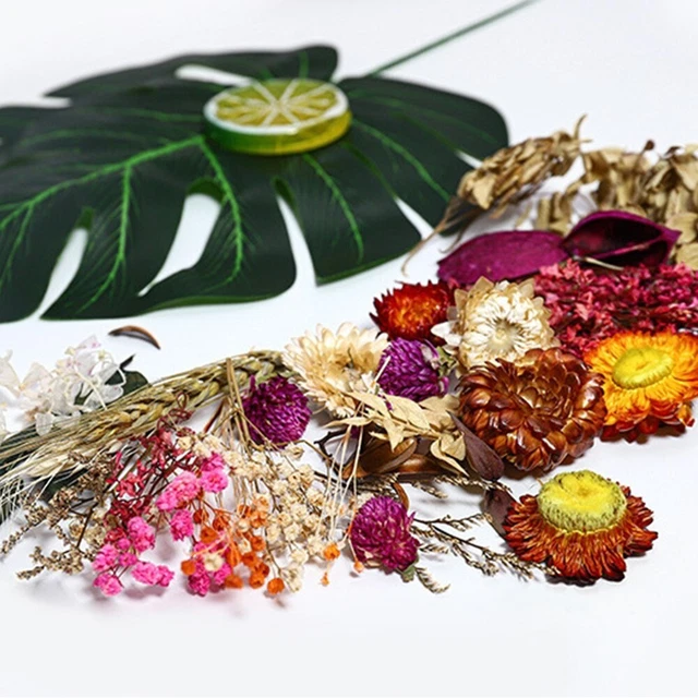 Colorida mezcla de flores secas para resina epoxi hágalo usted mismo artesanía y fabricación de velas