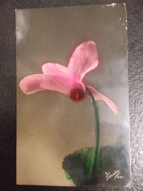 cartolina   f.piccolo  fiori primi 900