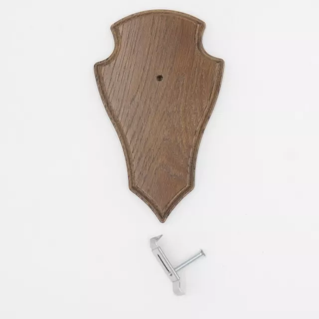 1 Pieza Ciervo Escudo de Trofeo Deseada Braun Pequeño Af 19 Cmx11CM Incluido 1x