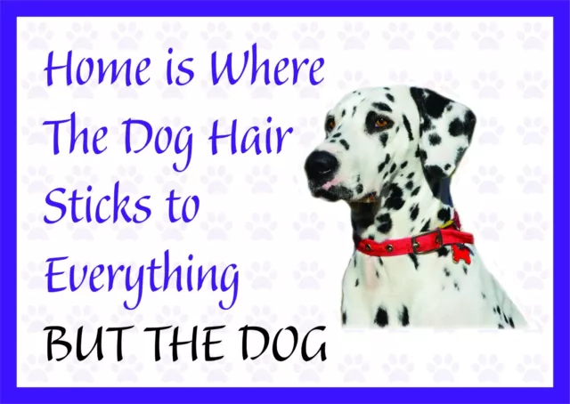 Home is Where The Dog Hair-Funny Dalmatian Vinyl Car Van Decal Sticker Pets