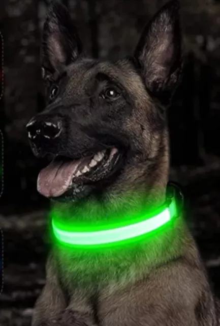 LED leuchtendes Hundehalsband, verstellbar, blinkend, Anti Lost Dog,