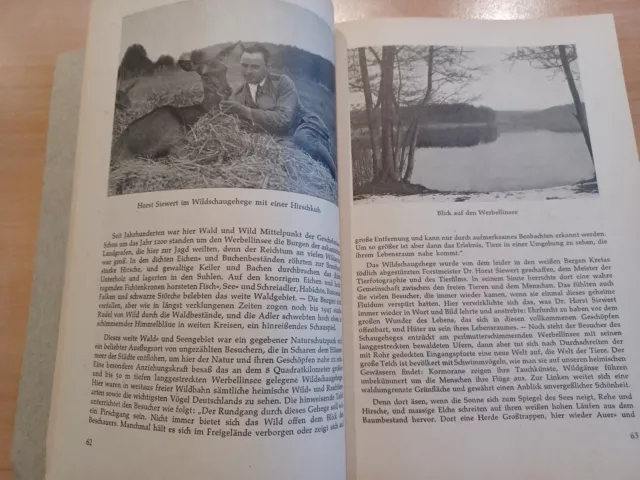 Berlin Mark-Brandenburg Ein Heimatbuch Elsner, Henningsen C 4