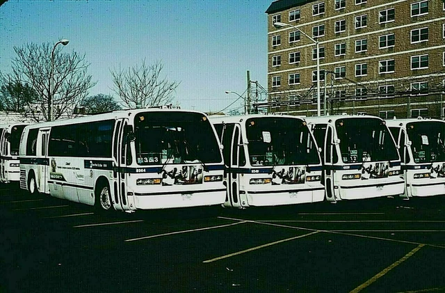 Original Kodachrome Slide Mta Bus 1996 Nova Rts #8964 Jamaica Depot Mar 29, 2008