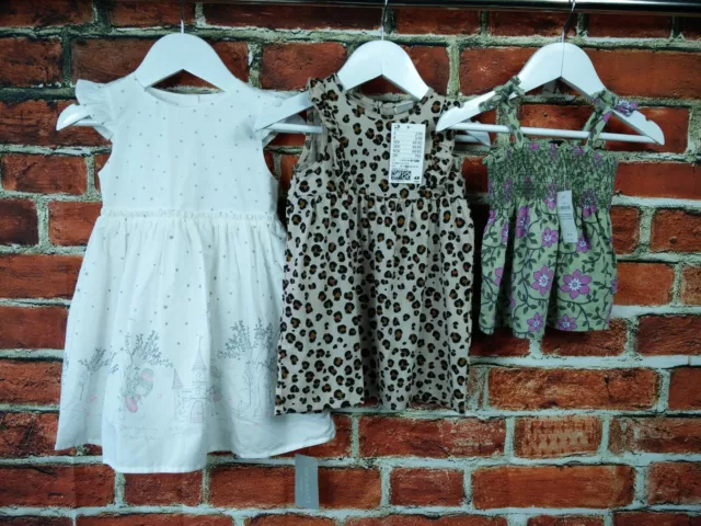 Bnwt Baby Girl Bundle Age 6-12 Mths Gap H&M Primark Summer Fairy Dress Top 80Cm