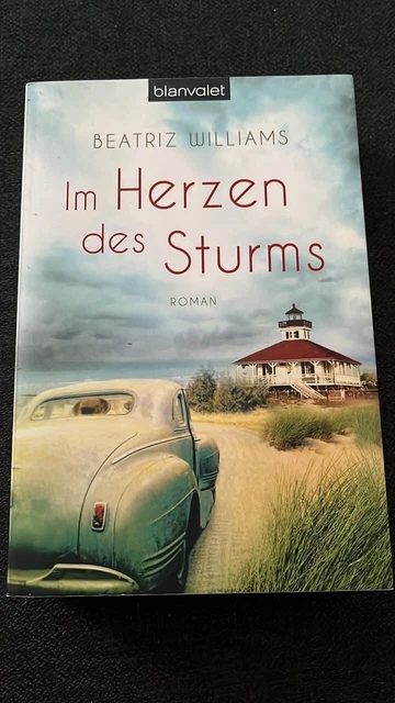 Im Herzen des Sturms von Beatriz Williams