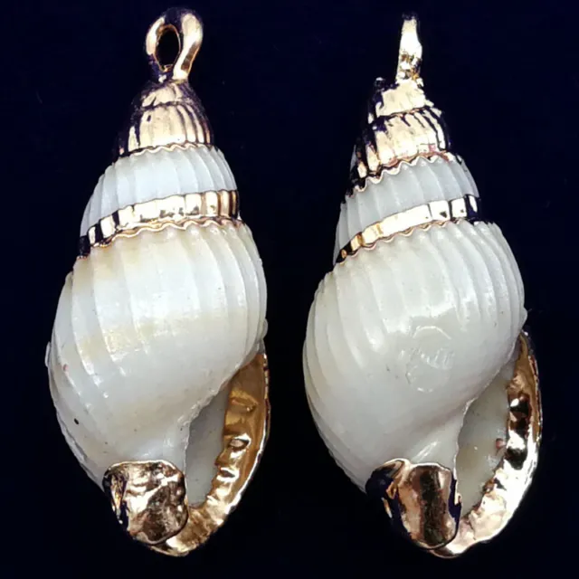 10Pcs 25x11x8mm Natural Gold Plated White Spiral Seashell Conch Pendant A-50BK