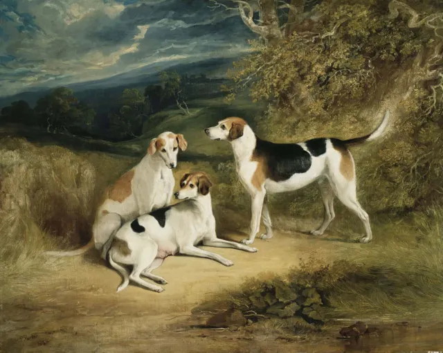 Henry Perle Parker Duke Of Rutland's Hounds With Belvoir Castle In The Distance