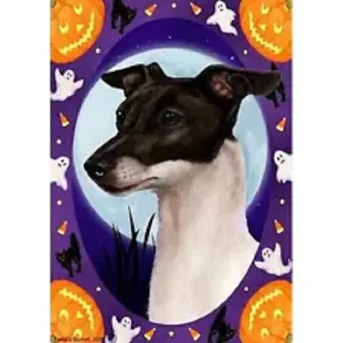 Halloween Garden Flag - Black and White Italian Greyhound 124301