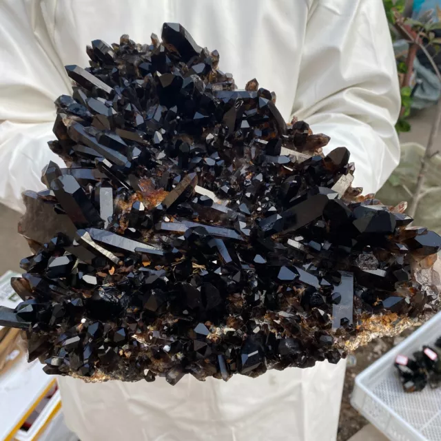 9.6lb Natural Smoky Black Quartz Cluster Crystal raw Specimen Healing