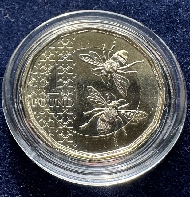 very-rare-2024-1-one-pound-coin-bees-brilliant-uncirculated-bu-in
