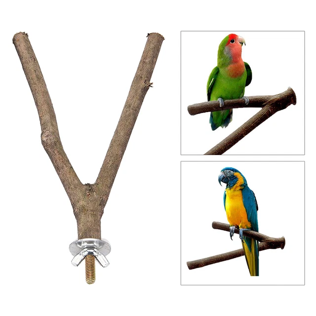 Vogel   Barsch Holz Gabel Ständer Vogelkäfig Zubehör-15cm/20cm/25cm/30c