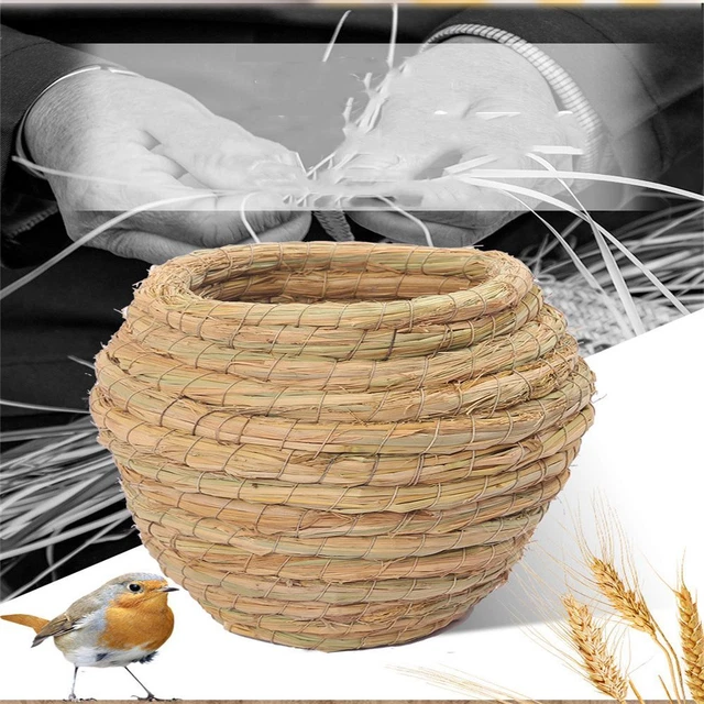 de compagnie Nid d'animal de compagnie tissé de paille Fournitures pour oiseaux