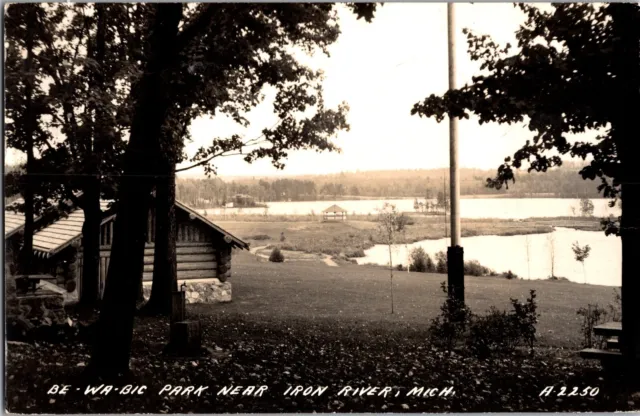 RPPC Cabin, Be-Wa-Bic Park Near Iron River, MI c1945 Vintage Postcard M42
